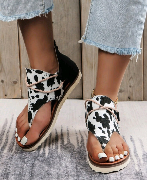 cow gladiator sandal
