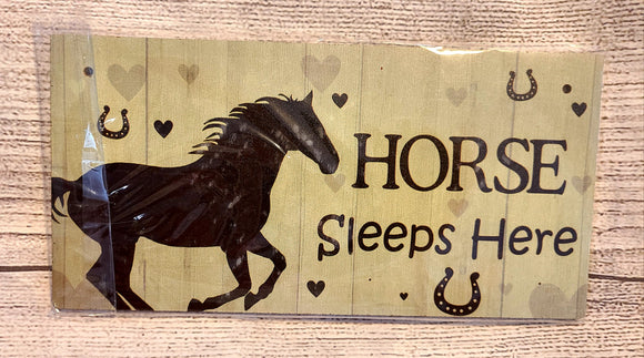 Horse sleeps here