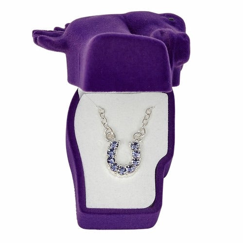 JN898PU Purple Horseshoe Necklace